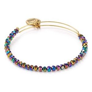 nwt Alex and Ani bracelet